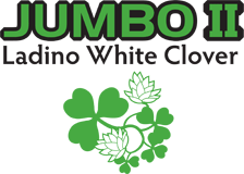 Jumbo II Logo