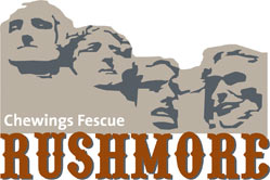 Rushmore Logo