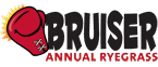 Bruiser Logo