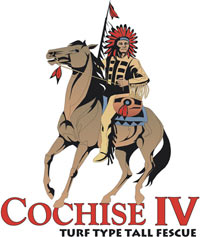 Cochise IV logo